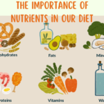 The Importance of Nutrients in Our Diet