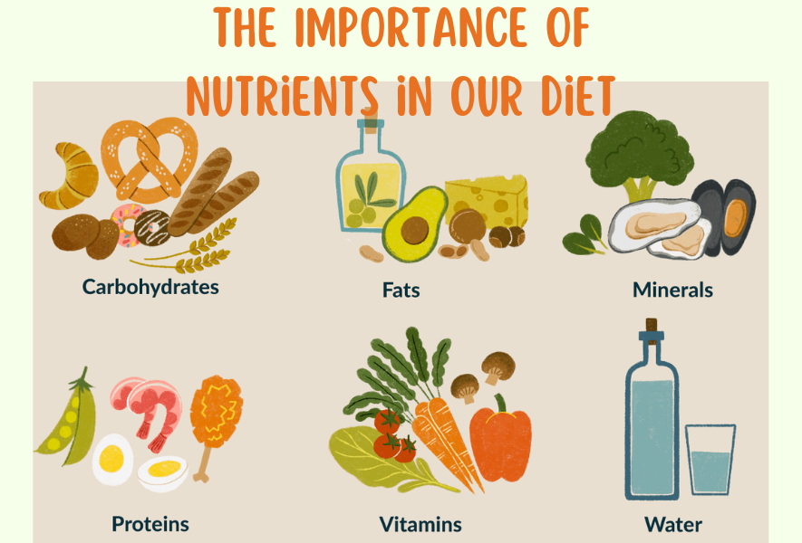 The Importance of Nutrients in Our Diet
